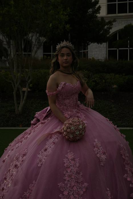 Foto de los XV años de Michell