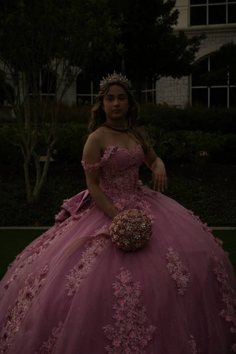 Foto de los XV años de Michell