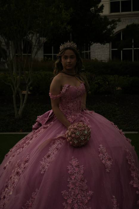Foto de los XV años de Michell