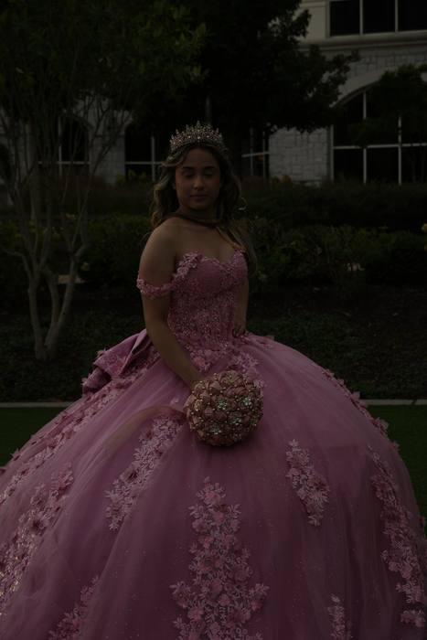 Foto de los XV años de Michell