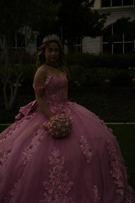 Foto de los XV años de Michell