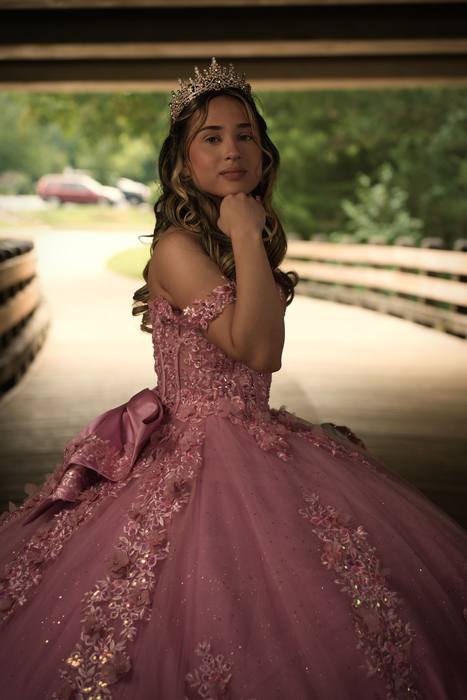 Foto de los XV años de Michell