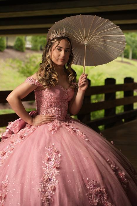 Foto de los XV años de Michell