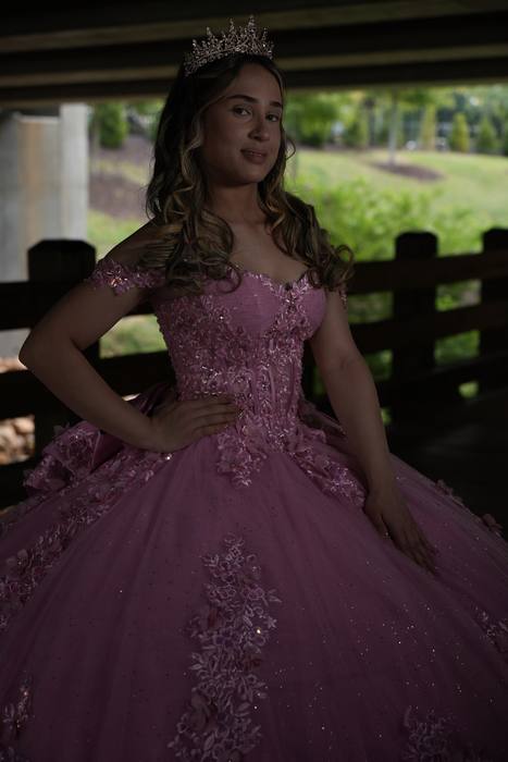 Foto de los XV años de Michell