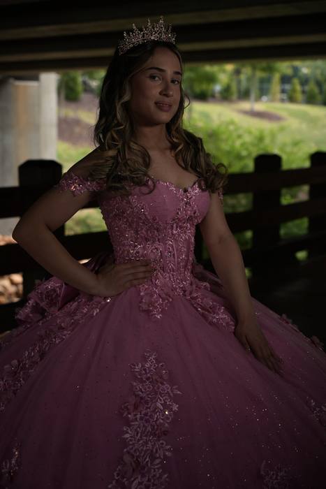 Foto de los XV años de Michell