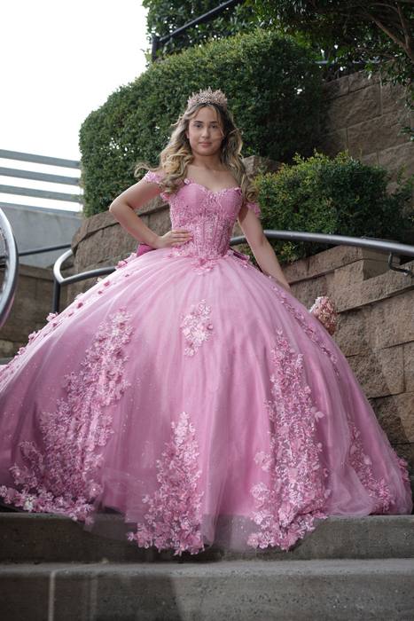 Foto de los XV años de Michell