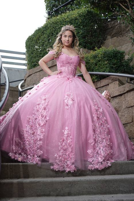 Foto de los XV años de Michell