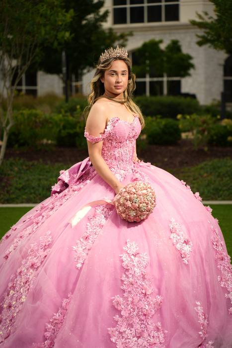 Foto de los XV años de Michell