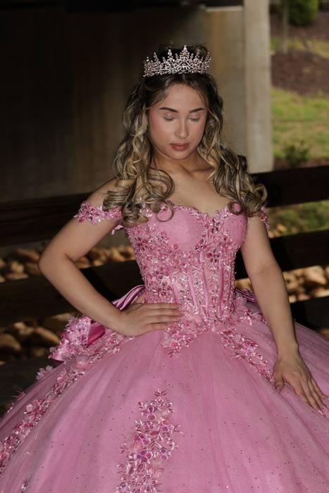 Foto de los XV años de Michell