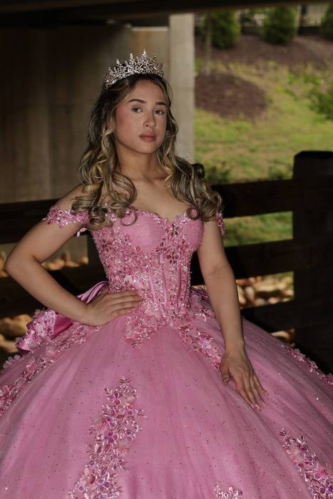 Foto de los XV años de Michell
