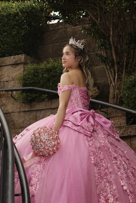 Foto de los XV años de Michell