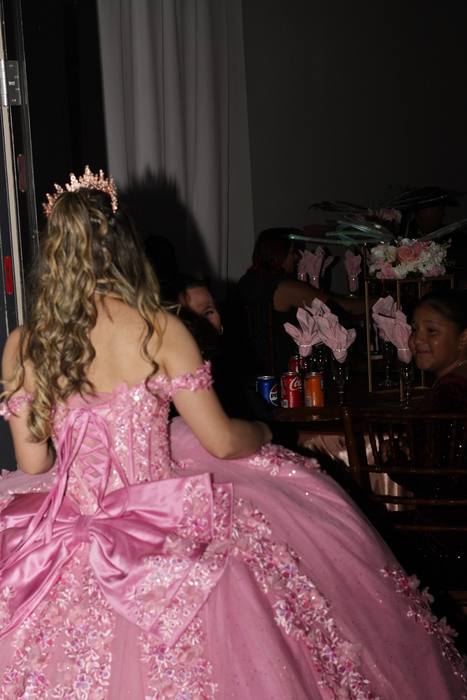 Foto de los XV años de Michell