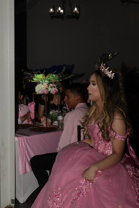 Foto de los XV años de Michell