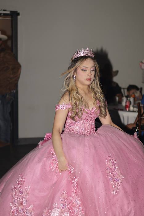 Foto de los XV años de Michell
