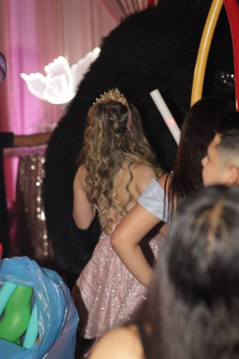 Foto de los XV años de Michell